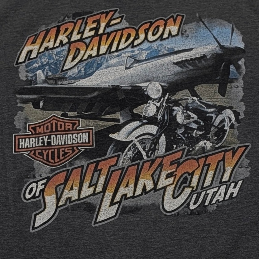 Harley Davidson Salt Lake City Utah Graphic T-Shirt Gray Men's XL Hanes Beefy-T